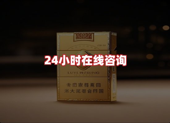 专业团队
